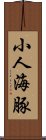 小人海豚 Scroll