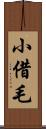 小借毛 Scroll