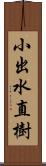 小出水直樹 Scroll