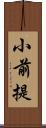 小前提 Scroll