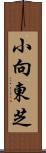 小向東芝 Scroll