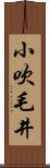 小吹毛井 Scroll