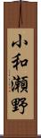 小和瀬野 Scroll