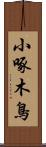 小啄木鳥 Scroll