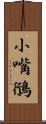 小嘴鴴 Scroll
