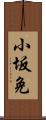 小坂免 Scroll