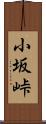 小坂峠 Scroll