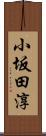 小坂田淳 Scroll