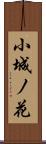 小城ノ花 Scroll