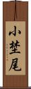 小埜尾 Scroll