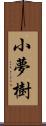 小夢樹 Scroll