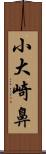 小大崎鼻 Scroll