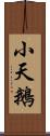 小天鵝 Scroll