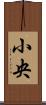 小央 Scroll