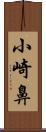 小崎鼻 Scroll