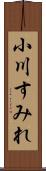 小川すみれ Scroll