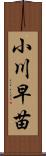 小川早苗 Scroll