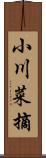 小川菜摘 Scroll
