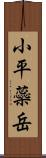 小平蘂岳 Scroll