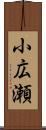 小広瀬 Scroll