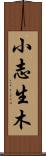 小志生木 Scroll