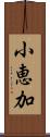 小恵加 Scroll