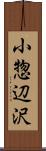 小惣辺沢 Scroll