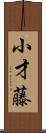 小才藤 Scroll