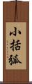小括弧 Scroll
