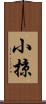 小掠 Scroll