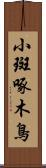 小斑啄木鳥 Scroll