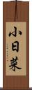 小日菜 Scroll