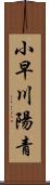 小早川陽青 Scroll