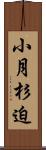 小月杉迫 Scroll
