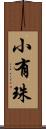 小有珠 Scroll