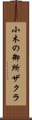 小木の御所ザクラ Scroll