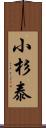 小杉泰 Scroll