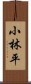 小林平 Scroll