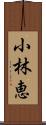 小林恵 Scroll