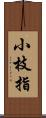 小枝指 Scroll