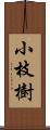 小枝樹 Scroll