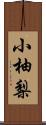 小柚梨 Scroll