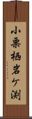 小栗栖岩ケ渕 Scroll