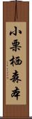 小栗栖森本 Scroll