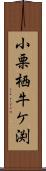 小栗栖牛ケ渕 Scroll