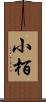 小栢 Scroll