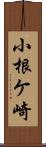 小根ケ崎 Scroll