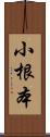 小根本 Scroll