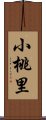 小桃里 Scroll