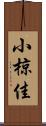 小椋佳 Scroll